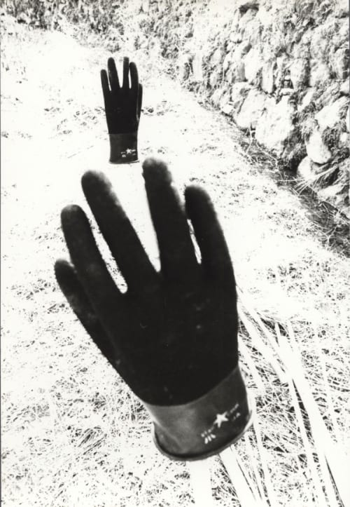 Untitled (Two Gloves)